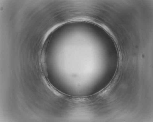 X0000055510862200509022056