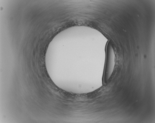 X0000055510865200509022055