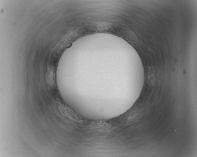 X0000055510866200509022055