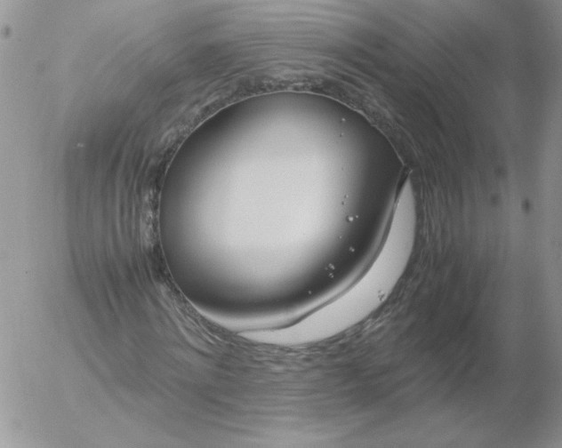 X0000055510868200509022055