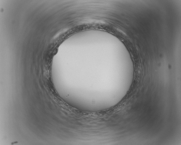 X0000055510869200509022055