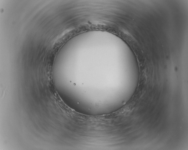 X0000055510870200509022055