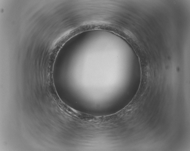 X0000055510872200509022055