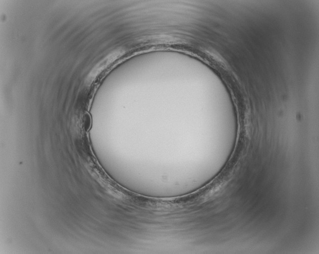 X0000055510873200509022055