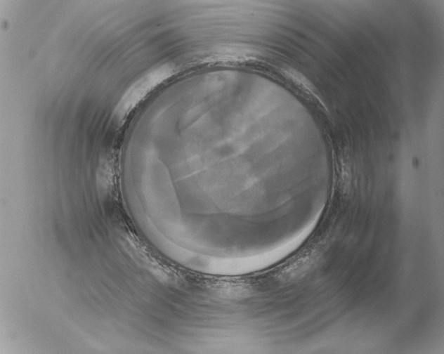 X0000055510874200509022055