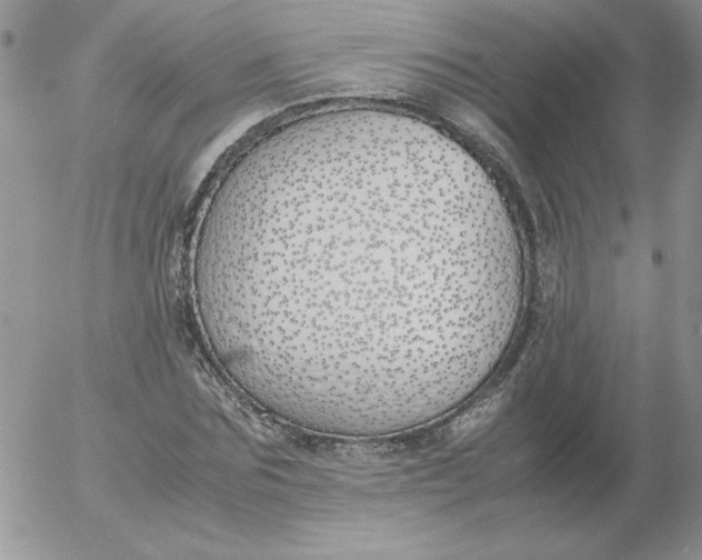 X0000055510875200509022055