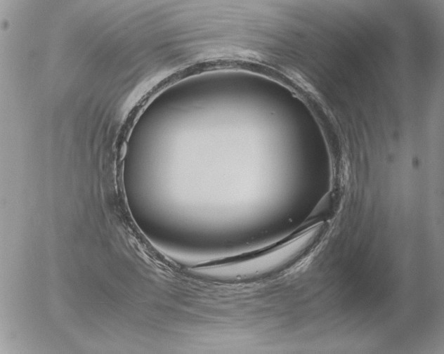 X0000055510877200509022055