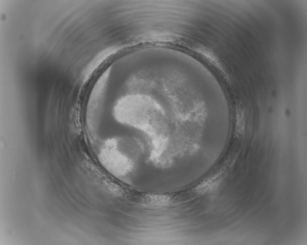 X0000055510878200509022055