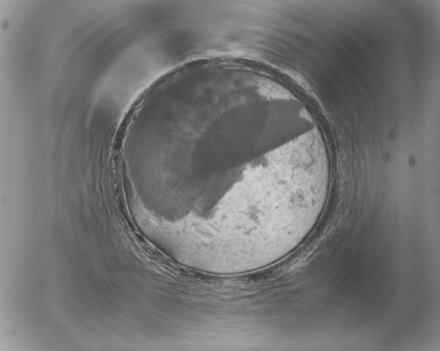 X0000055510879200509022055