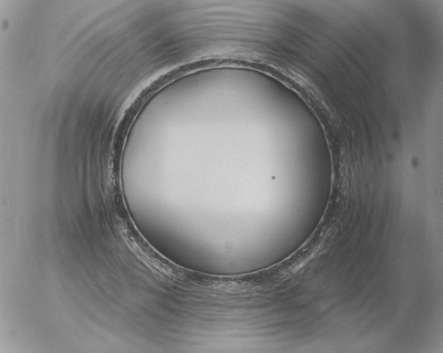 X0000055510880200509022055