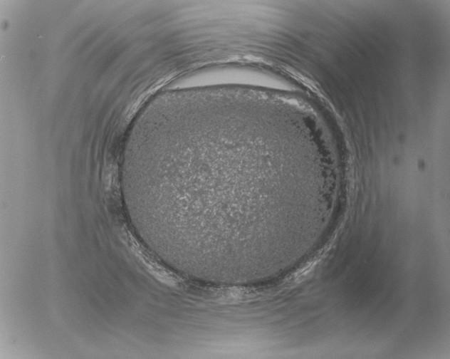 X0000055510881200509022055