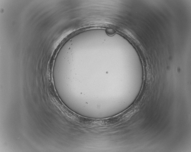 X0000055510883200509022055