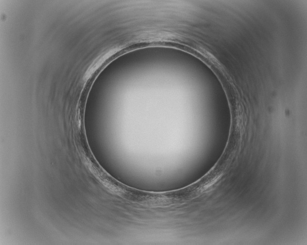 X0000055510885200509022055