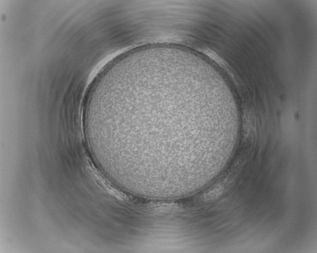 X0000055510886200509022055