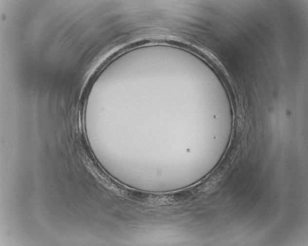 X0000055510887200509022055