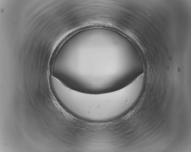 X0000055510888200509022055