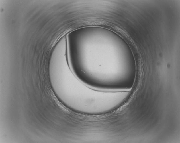 X0000055510889200509022055