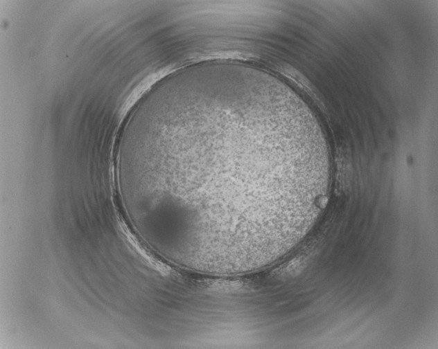 X0000055510890200509022055