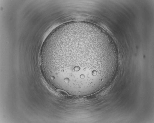 X0000055510891200509022055