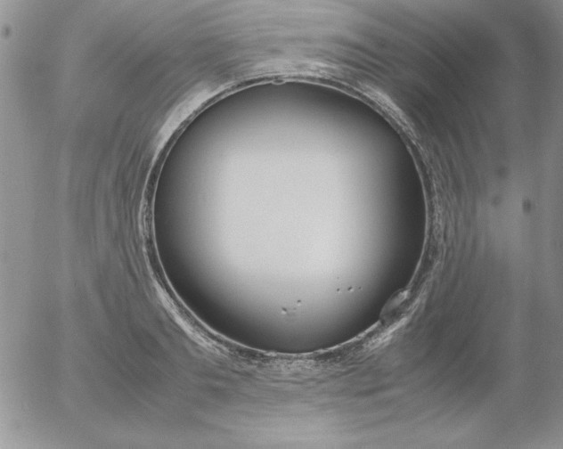 X0000055510893200509022055