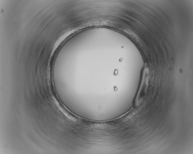 X0000055510894200509022055