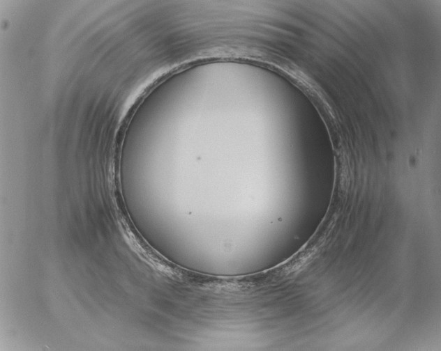 X0000055510896200509022055