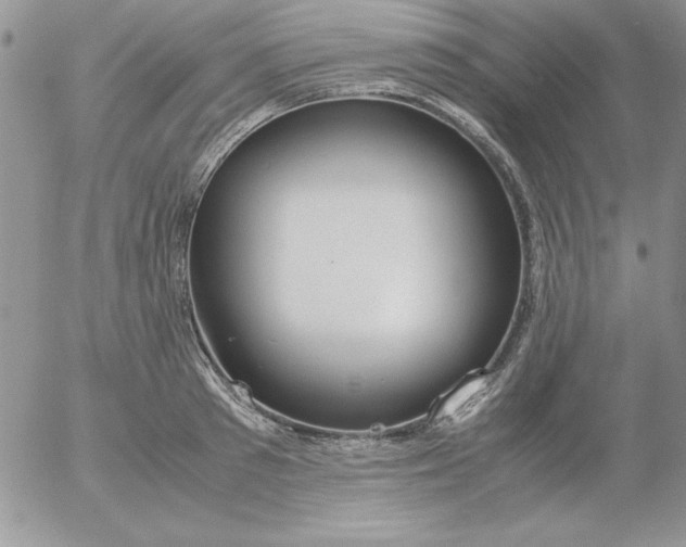 X0000055510897200509022055