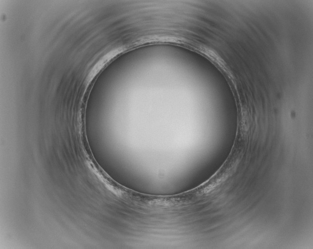 X0000055510898200509022055