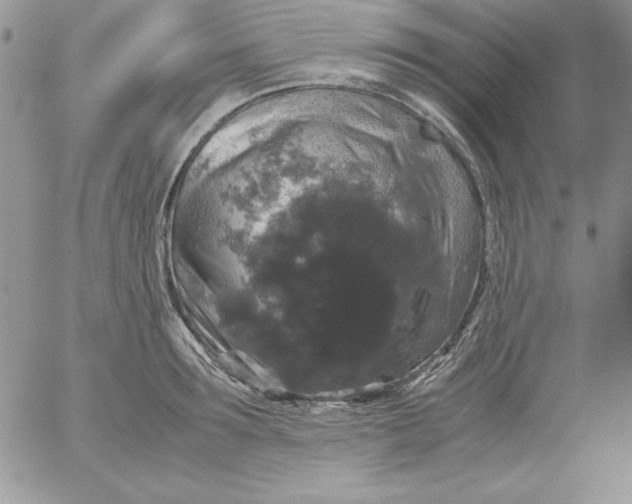 X0000055510899200509022055