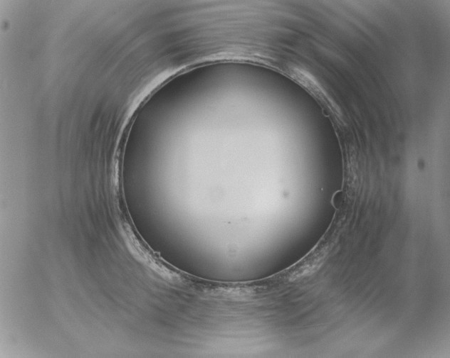 X0000055510900200509022055