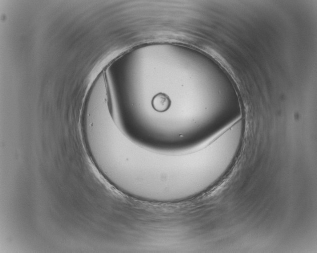 X0000055510901200509022055