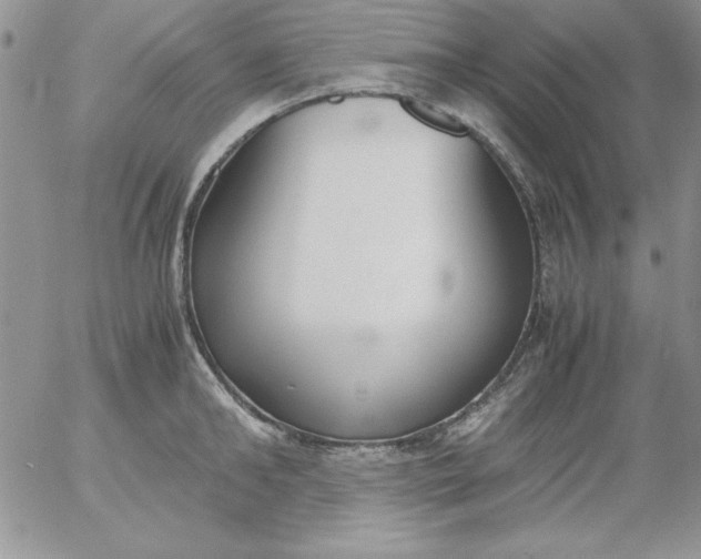 X0000055510902200509022054