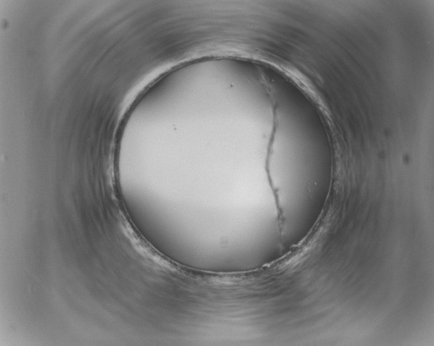 X0000055510904200509022054