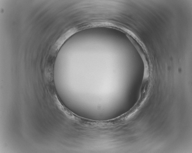 X0000055510905200509022054