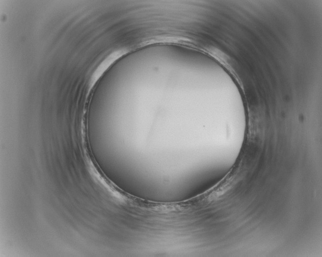 X0000055510906200509022054