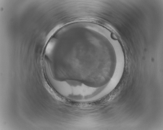 X0000055510907200509022054