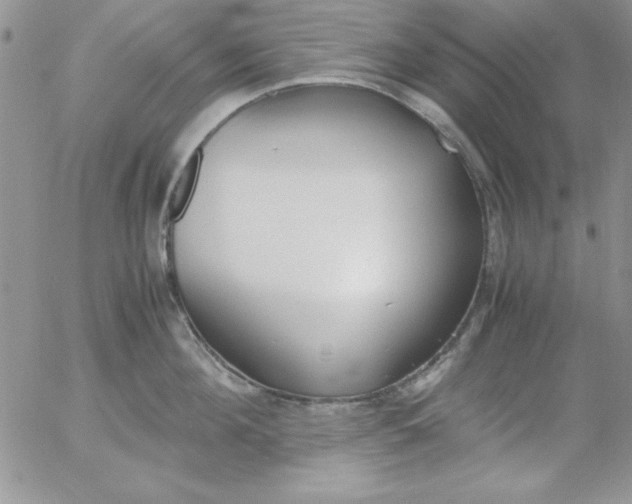 X0000055510908200509022054