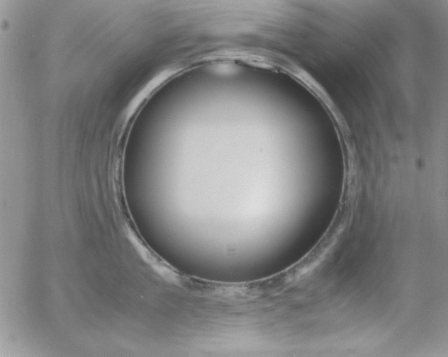 X0000055510909200509022054