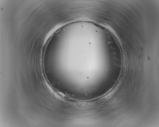 X0000055510910200509022054