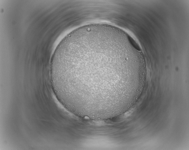 X0000055510911200509022054