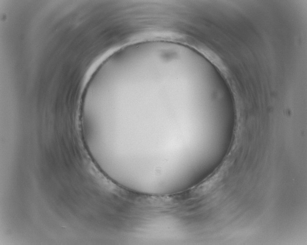 X0000055510912200509022054