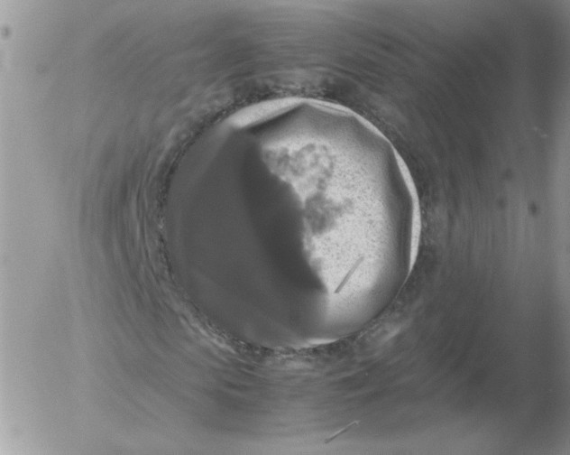 X0000055510913200509022054