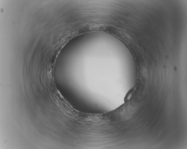 X0000055510914200509022054