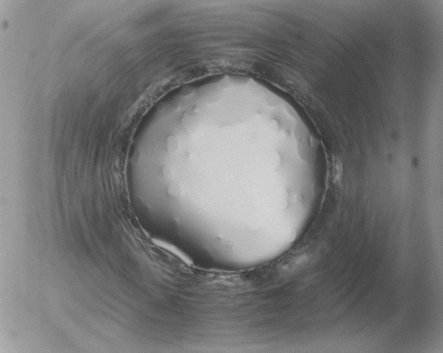 X0000055510915200509022054