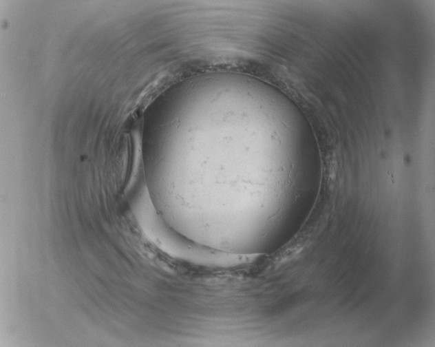 X0000055510916200509022054