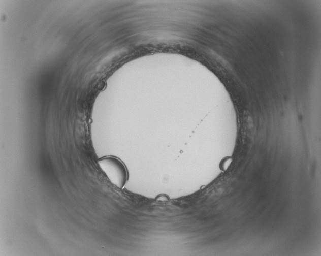 X0000055510918200509022054