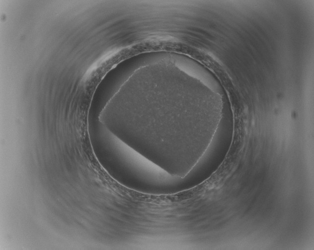 X0000055510919200509022054