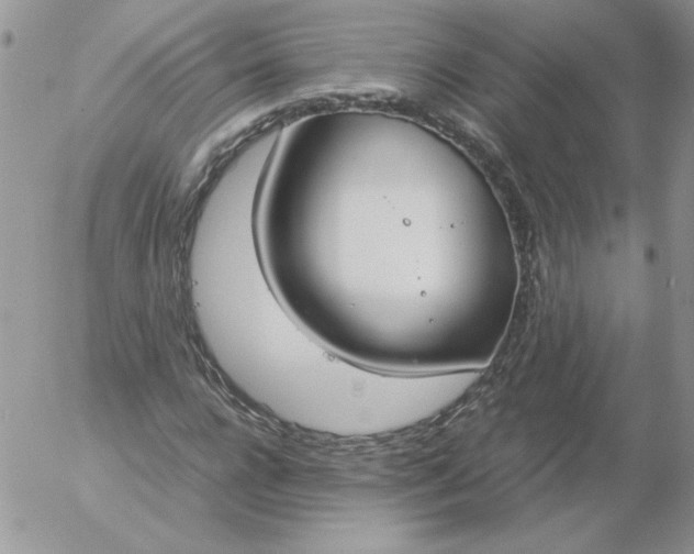 X0000055510920200509022054