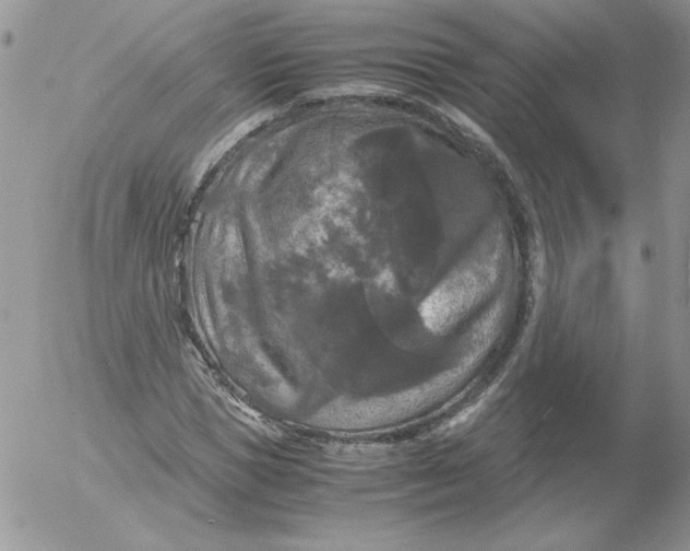 X0000055510921200509022054