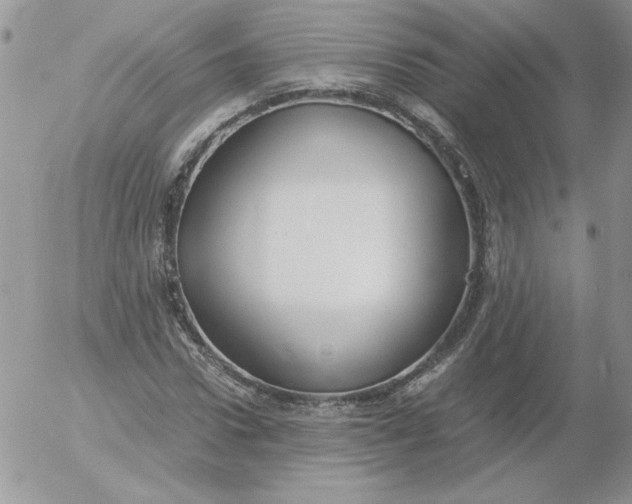 X0000055510922200509022054